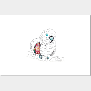 Parrot Bird Cuddle Posters and Art